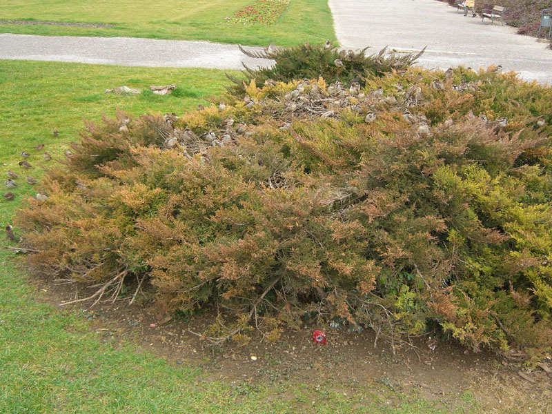 Click for Next