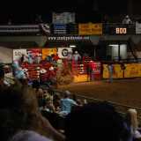 Sometimes the horse is toowild to even get out of the box. The rider escaped unharmed in this case.