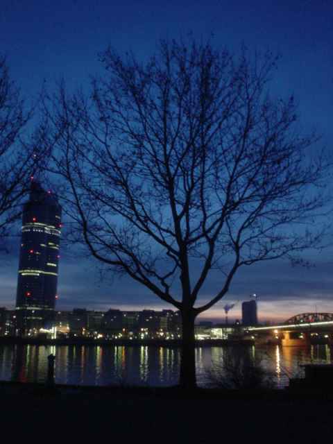 A picture from the Donauinsel toward Millennium City.
