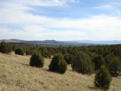 Picture taken on the way south.