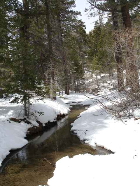 A little stream running right next to the top station. A little stream running right next to the top station.