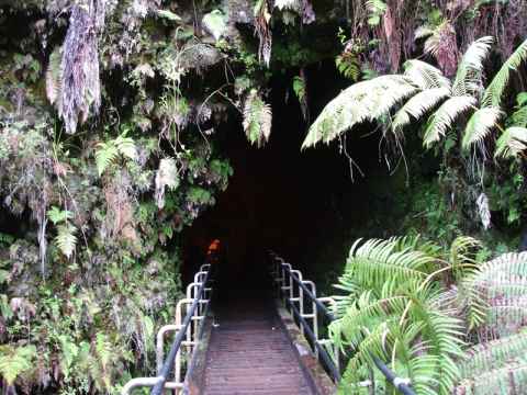The entrance to the Thurston Lava Tube on the east edge of the Kilauea Iki crater. The entrance to the Thurston Lava Tube on the east edge of the Kilauea Iki crater.