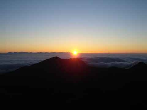 The point quickly grows into the full sun.