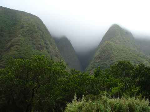 Entering Iao valley.