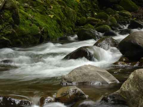 The streams going down the bottom of the valley.