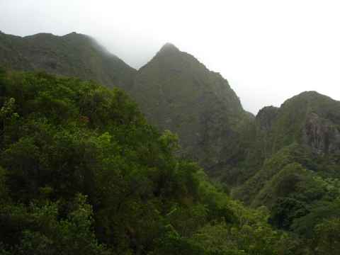 The sides of the valley.