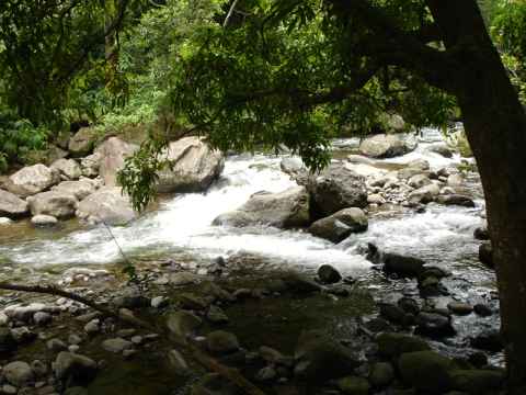 A hiking trail follows one of the streams up a couple of hundred meters.