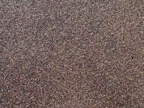 Note the black grains that give the sand the dark color.