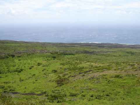 Highway 31 goes straight through the southern part of Maui, with a huge grass plain to the seaward side of the road.