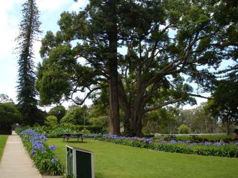 The Winery garden. This used to be where the main building of Ulupalakua Ranch stood.