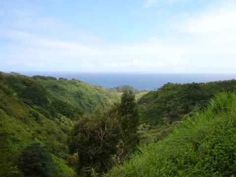 Lush valleys fill the seaside view.