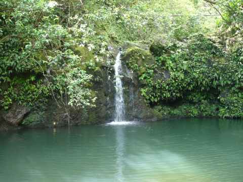 As you stop and hike into each valley you're bound to find the stream that originally carved out the valley. This photo was taken after a light rain, during heavy rain the stream increases in size by a magnitude.