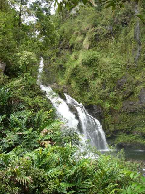 A larger stream during light rain.