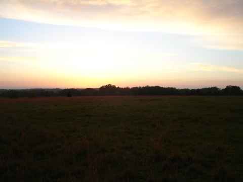 South Carolina sunset, somewhere along the I-77. South Carolina sunset, somewhere along the I-77.