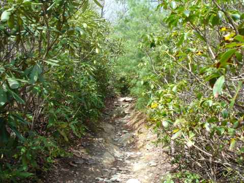 The "Hawkbill" trail, leading up to the peak of the same name. The rock outcrop at the top gives the peak the silhouette of a hawk's bill. The "Hawkbill" trail, leading up to the peak of the same name. The rock outcrop at the top gives the peak the silhouette of a hawk's bill.