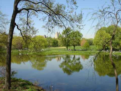 The Turtle Pond in Central Park.