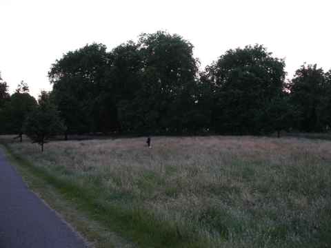 Picture of a lone photographer in Hude Park. Annette thinks she saw a naked woman's leg in the grass.