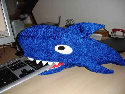 Trying to be a blog shark. Trying to be a blog shark.