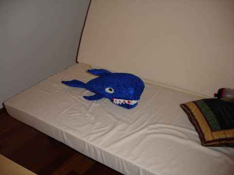 Swimming around on the Sofa Sea. Swimming around on the Sofa Sea.