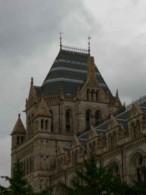 Museum wing. Museum wing.