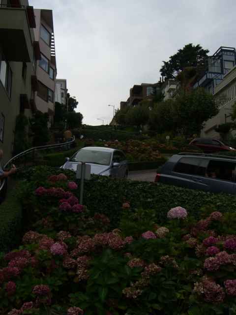 This is the bendiest street in all of the world. It is Lombard Street, on top of the Russian Hill. This is the bendiest street in all of the world. It is Lombard Street, on top of the Russian Hill.