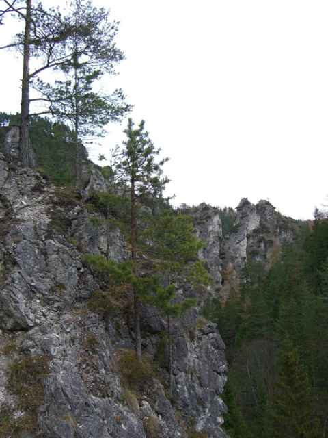 Cliffs near the starting point. These in particular are on the other side of a dam that bottles up the Eralaufstausee and keeps it from pouring out northward. (The picture was taken from the west end of the dam - on the map this would be where the Ötscherstrasse crosses the northward pointing stream.) Cliffs near the starting point. These in particular are on the other side of a dam that bottles up the Eralaufstausee and keeps it from pouring out northward. (The picture was taken from the west end of the dam - on the map this would be where the Ötscherstrasse crosses the northward pointing stream.)