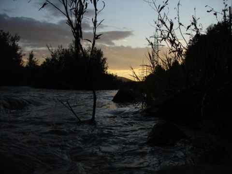The Wienfluss, up close.