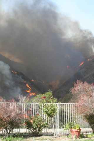 The fire once it has started coming down the canyon. The fire once it has started coming down the canyon.