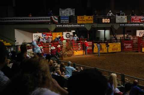 Sometimes the horse is toowild to even get out of the box. The rider escaped unharmed in this case.