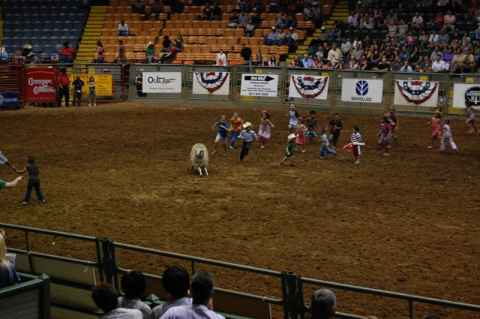Mutton scramble - like the calf scramble, but for the up-to-seven littlest cowboys and cowgirls.