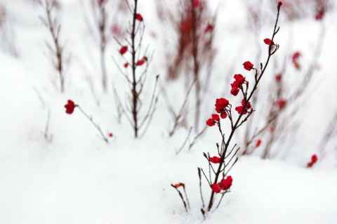 A flower pot outside City Hall.