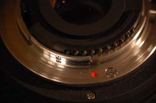 Nikon 55-200mm @ 55mm, DCR-250 attached