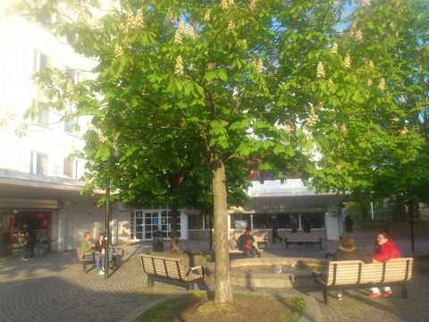 What Husby normally looks like. The only thing missing is a photo of my ice cream.