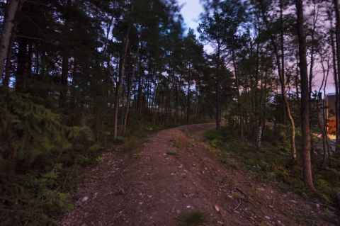 Looking back toward the highest point of the track from the edge of the patio.
