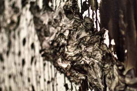 Exile by Anastasia Ax