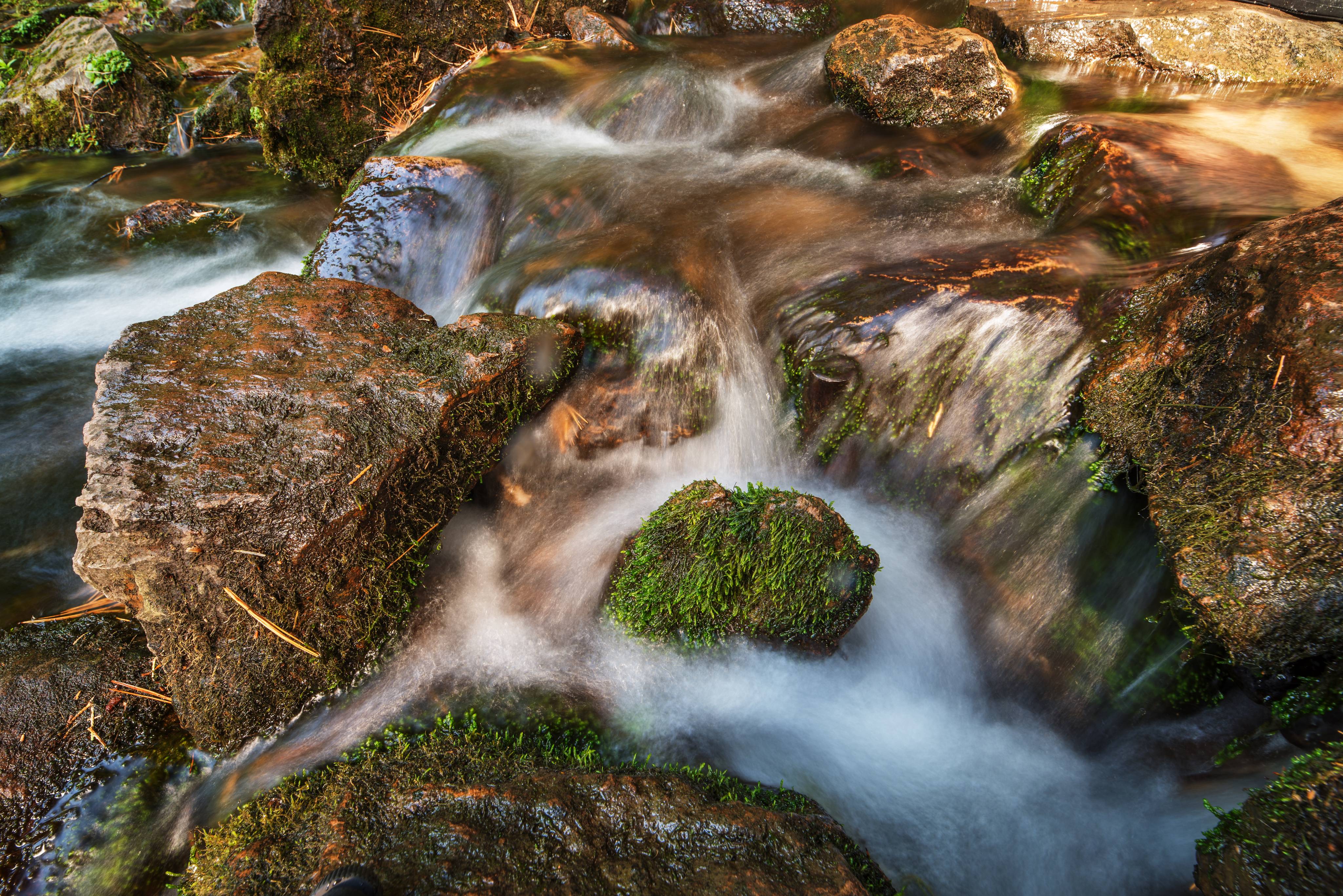 Sacramento River Headwaters