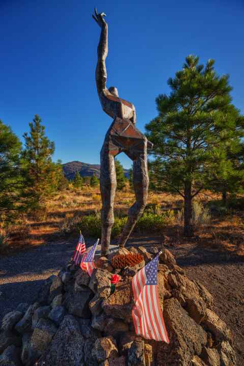 "All Wounded Warriors"