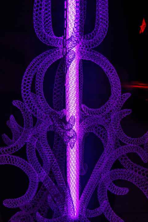 "Seastar's Sea" by Eka Acosta.